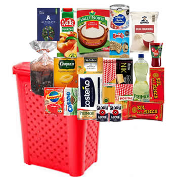 CANASTA NAVIDEÑA PREMIUM MODELO: M53