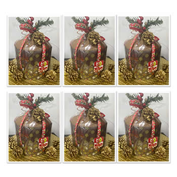 Panetón Fabini en Bolsa de 900 gr.<br>Caja de 6 unidades.